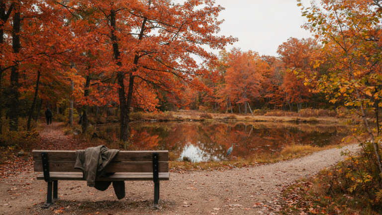 Allegheny National Forest, Pennsylvania – A Quiet Fall Getaway