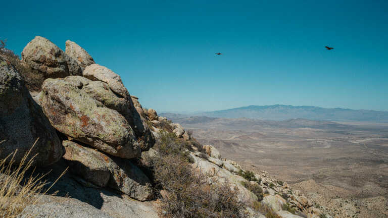 Anza Borrego Desert State Park