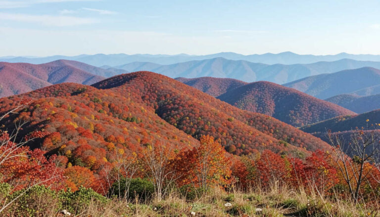 Best Places to See Fall Foliage in the USA
