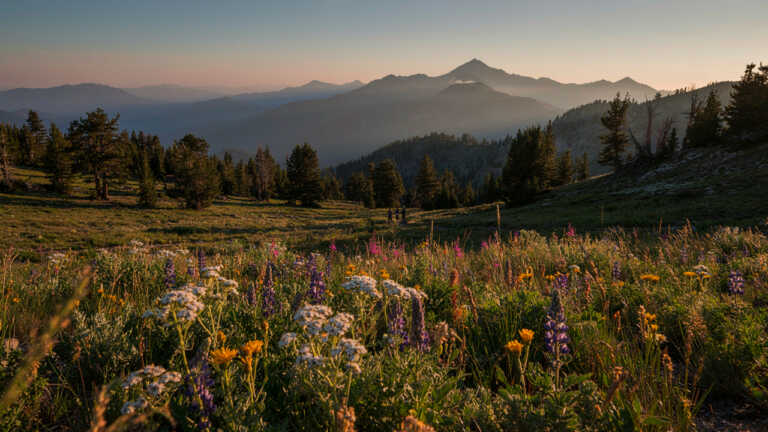 Lassen National Forest