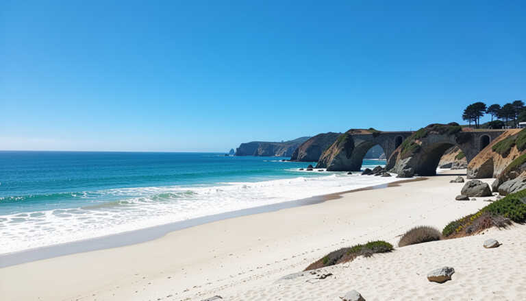 Natural Bridges State Beach – Santa Cruz