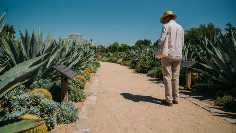 The Huntington Library, Art Museum, and Botanical Gardens, California