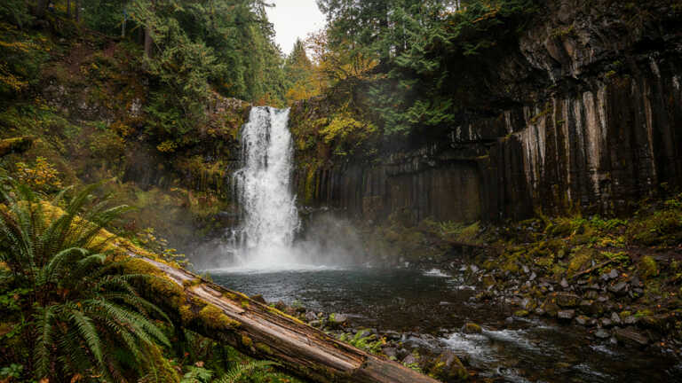 Umpqua National Forest & Toketee Falls, Oregon
