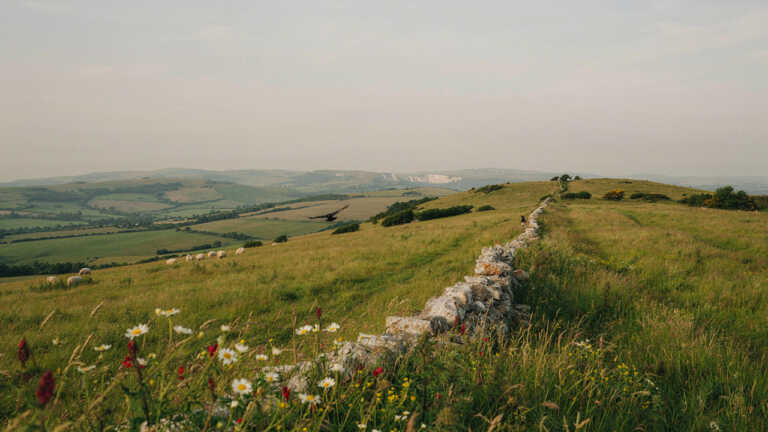 South Downs, England